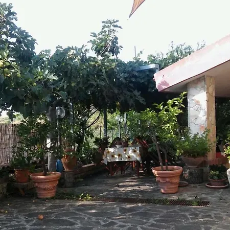 Il Melograno *